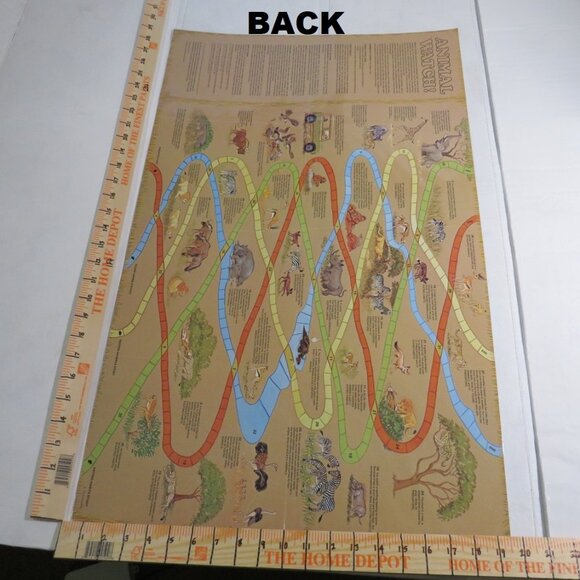 Dinosaurs & Groundhog Posters (7) EXTRA LARGE LAMINATED and non lam. Classroom - Picture 4 of 13